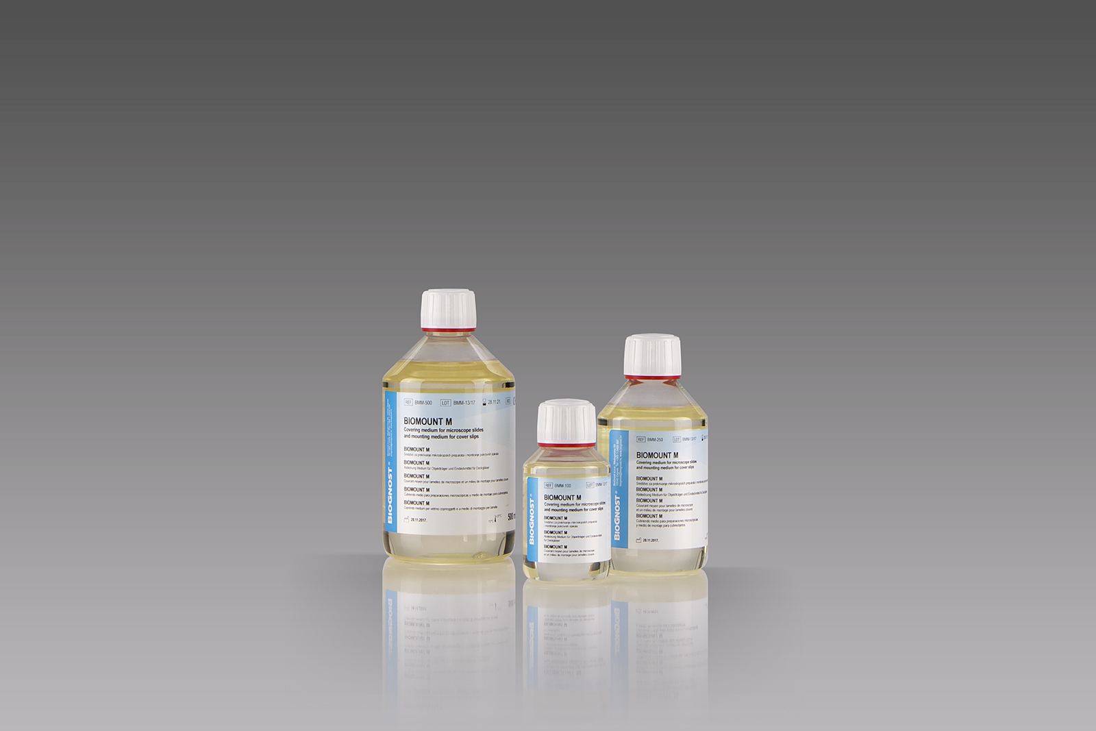 BioMount M BioMount M