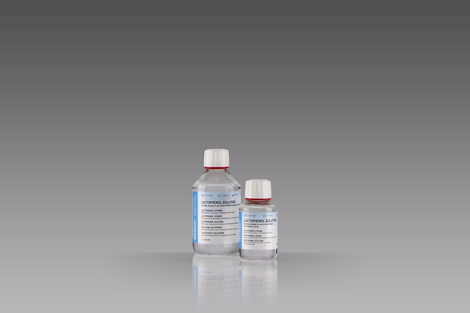 Lactophenol solution Lactophenol solution