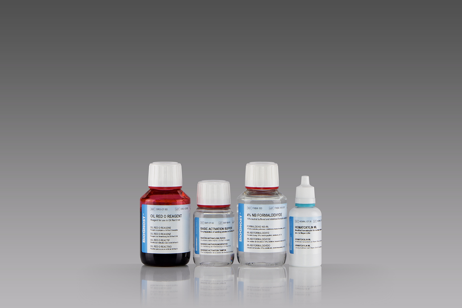 Oil Red O kit - for 100 tests Oil Red O kit - for 100 tests