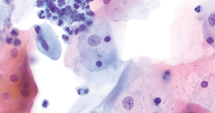 Histology and cytology
